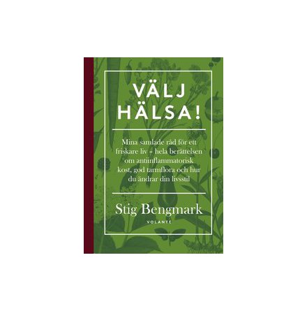 Vlj hlsa! Samlade rd om hlsa av professor Stig Bengmark