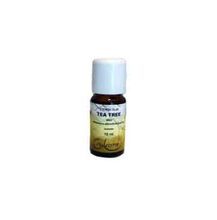 tea tree oil ekologisk 10 ml