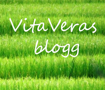 VitaVeras blogg om hälsa och hållbart liv